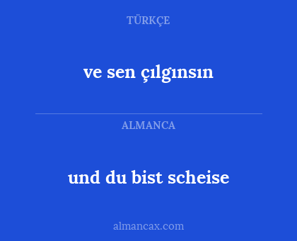 und du bist scheise - ve sen çılgınsın