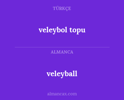 veleybol topu - veleyball