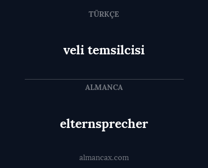 veli temsilcisi - elternsprecher