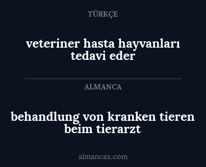 veteriner hasta hayvanları tedavi eder - behandlung von kranken tieren beim tierarzt