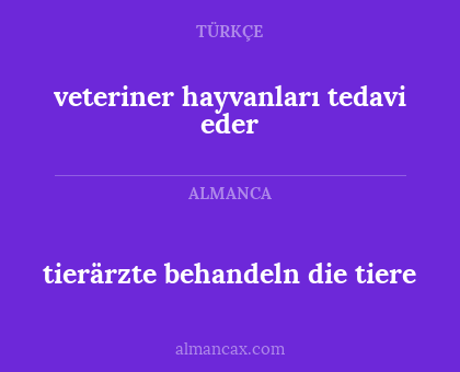 tierärzte behandeln die tiere - veteriner hayvanları tedavi eder