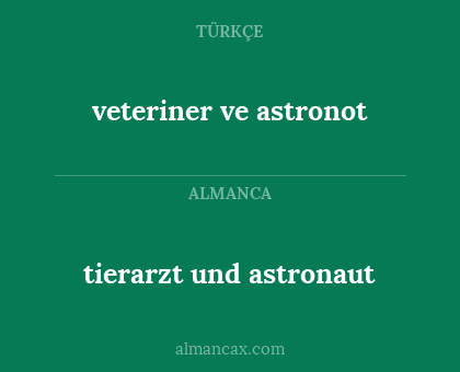 veteriner ve astronot - tierarzt und astronaut