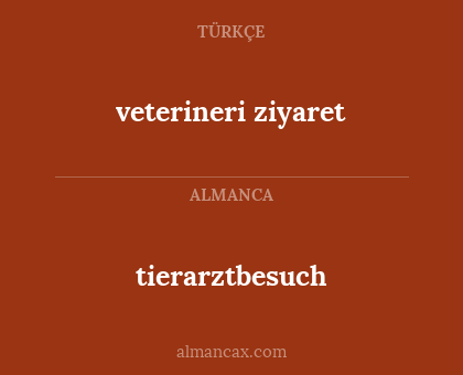 tierarztbesuch - veterineri ziyaret