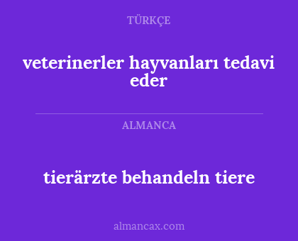 tierärzte behandeln tiere - veterinerler hayvanları tedavi eder