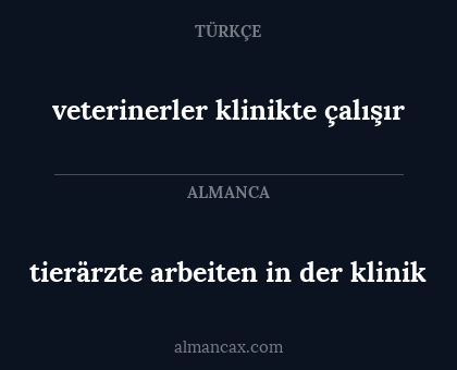 tierärzte arbeiten in der klinik - veterinerler klinikte çalışır