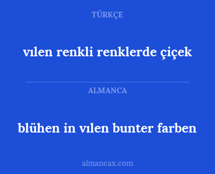 vılen renkli renklerde çiçek - blühen in vılen bunter farben