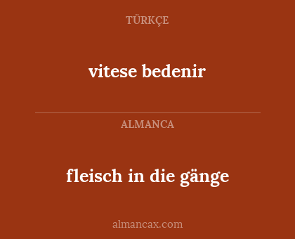 fleisch in die gänge - vitese bedenir