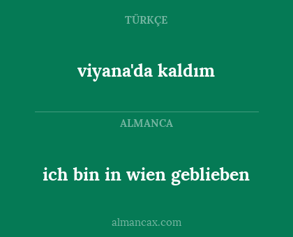 ich bin in wien geblieben - viyana'da kaldım