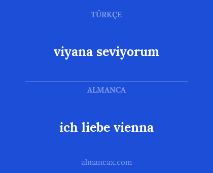 ich liebe vienna - viyana seviyorum