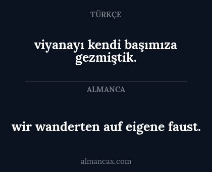 wir wanderten auf eigene faust. - viyanayı kendi başımıza gezmiştik.
