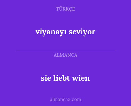 viyanayı seviyor - sie liebt wien
