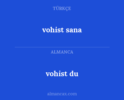 vohist du - vohist sana