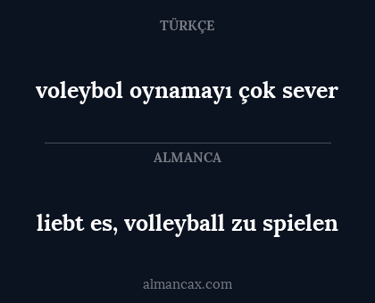 liebt es, volleyball zu spielen - voleybol oynamayı çok sever