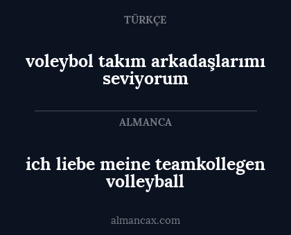 voleybol takım arkadaşlarımı seviyorum - ich liebe meine teamkollegen volleyball