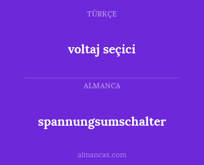 spannungsumschalter - voltaj seçici