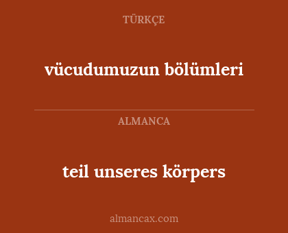 teil unseres körpers - vücudumuzun bölümleri