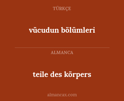 vücudun bölümleri - teile des körpers