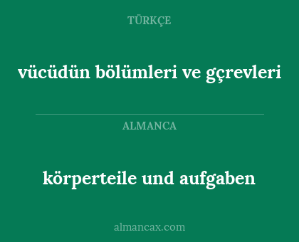 vücüdün bölümleri ve gçrevleri - körperteile und aufgaben