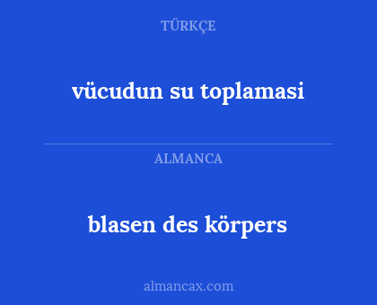 blasen des körpers - vücudun su toplamasi