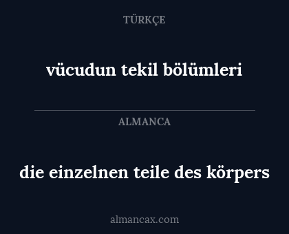 vücudun tekil bölümleri - die einzelnen teile des körpers