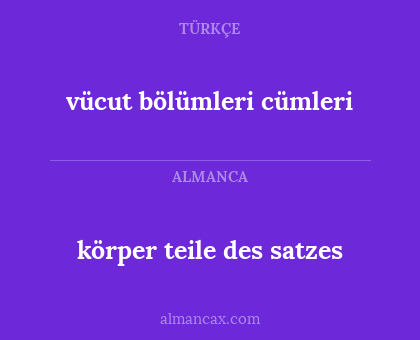 körper teile des satzes - vücut bölümleri cümleri