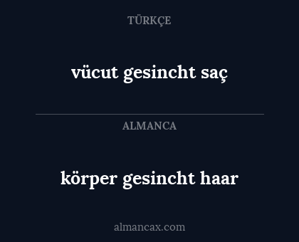 körper gesincht haar - vücut gesincht saç