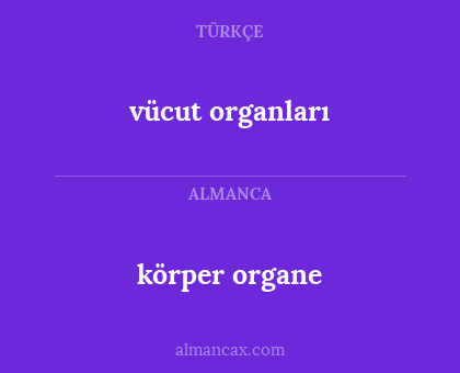 körper organe - vücut organları
