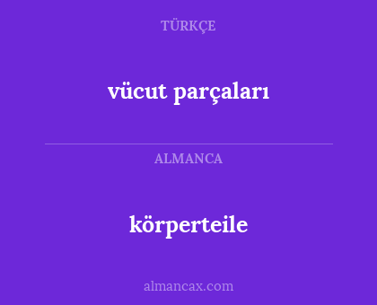 körperteile - vücut parçaları