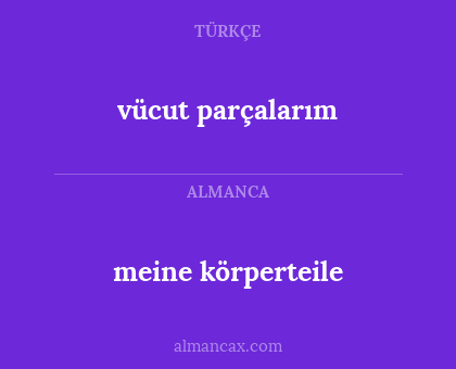 meine körperteile - vücut parçalarım