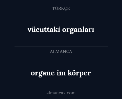 organe im körper - vücuttaki organları