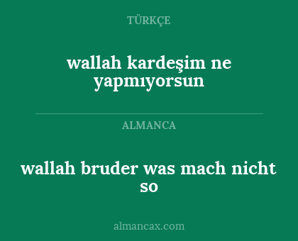 wallah bruder was mach nicht so - wallah kardeşim ne yapmıyorsun