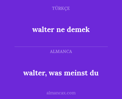 walter ne demek - walter, was meinst du