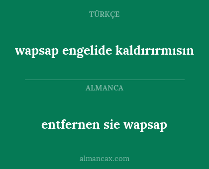 entfernen sie wapsap - wapsap engelide kaldırırmısın