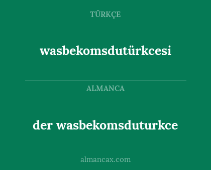 wasbekomsdutürkcesi - der wasbekomsduturkce