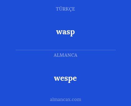 wasp - wespe