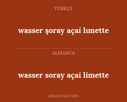 wasser şoray açai lımette - wasser soray açai limette