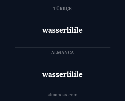 wasserlilile - wasserlilile
