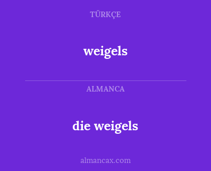 die weigels - weigels