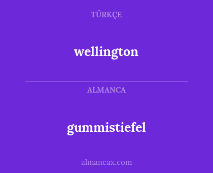 wellington - gummistiefel
