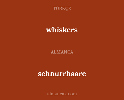 whiskers - schnurrhaare