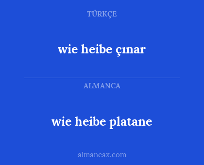 wie heibe çınar - wie heibe platane