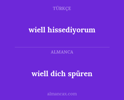 wiell hissediyorum - wiell dich spüren