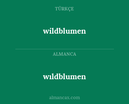 wıldblumen - wildblumen