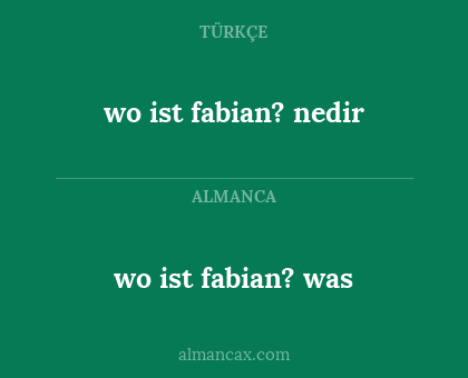 wo ist fabian? was - wo  ist  fabian? nedir