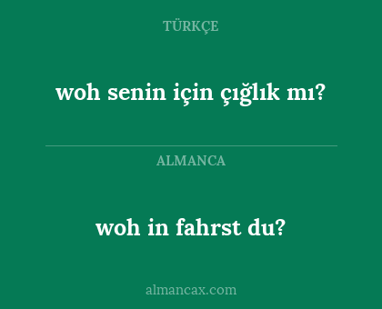 woh in fahrst du? - woh senin için çığlık mı?