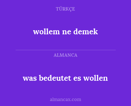 wollem ne demek - was bedeutet es wollen