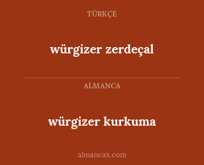 würgizer zerdeçal - würgizer kurkuma