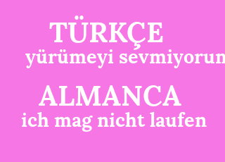 y%C3%BCr%C3%BCmeyi+sevmiyorum-ich+mag+nicht+laufen.png