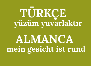 y%C3%BCz%C3%BCm+yuvarlakt%C4%B1r-mein+gesicht+ist+rund.png