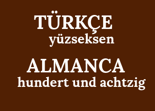 y%C3%BCzseksen-hundert+und+achtzig.png